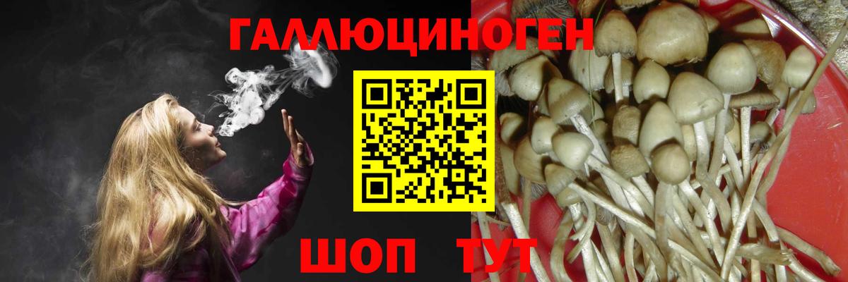 Обнинск  Галлюциногенные грибы Psilocybine cubensis  Вход с VPN 